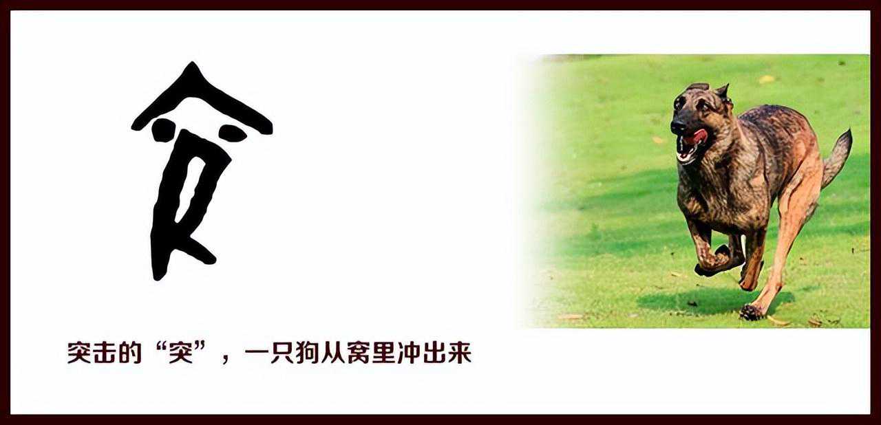 “狗”字的产生和演变过程，狗是人类最好的助手