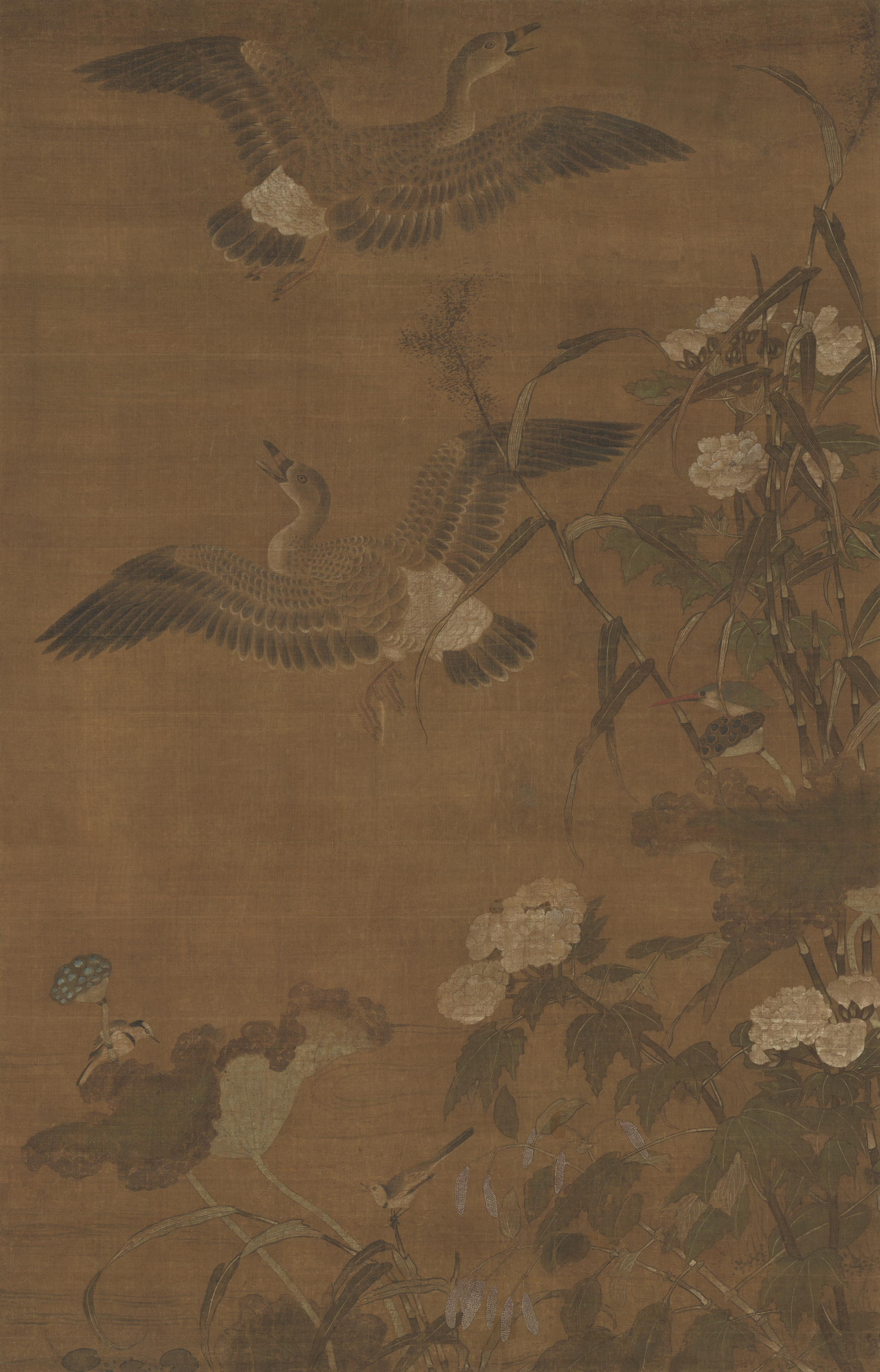 白露｜故宫藏画里的芦雁：碧天飞去又飞还