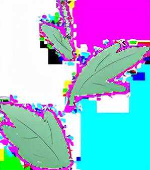 诚轩21秋拍钱币丨珍贵铜元 粲然可观