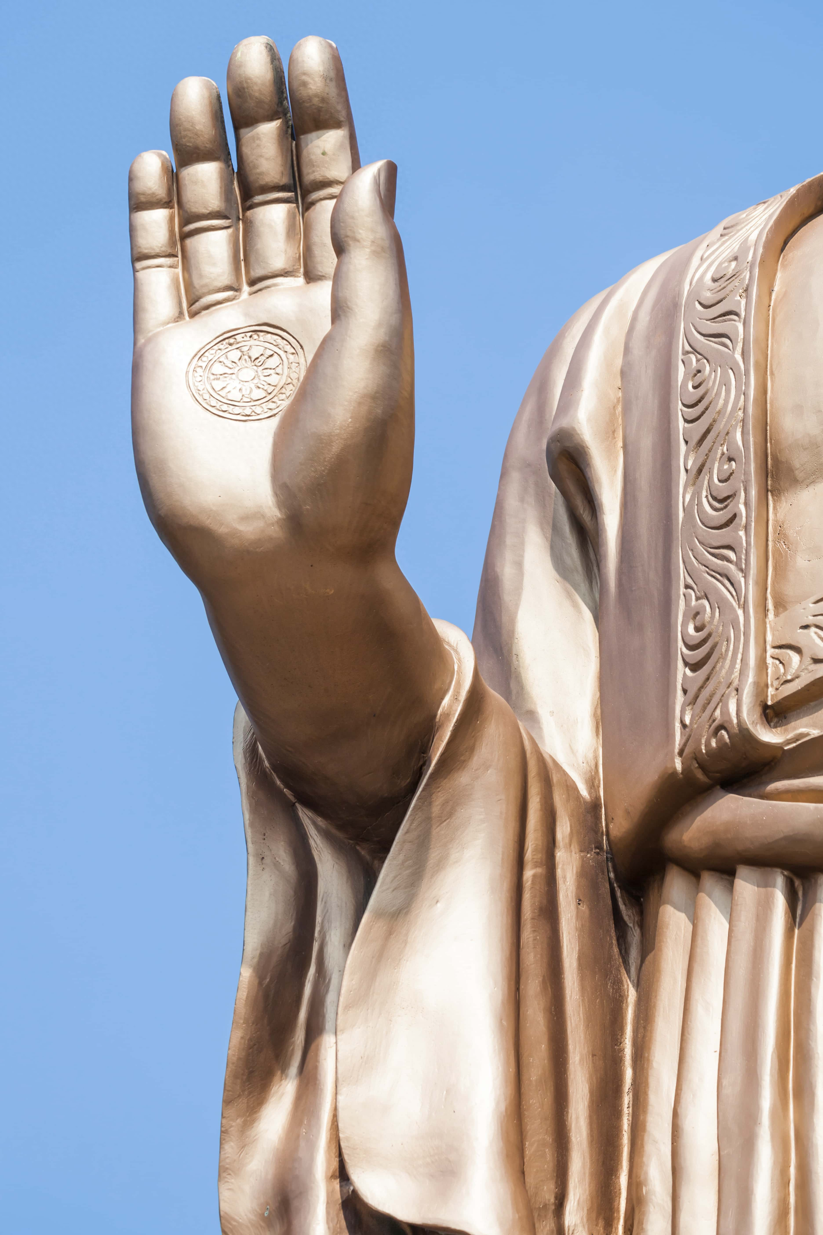 生肖鸡: 您今后神采奕奕 福寿康宁 无病无灾