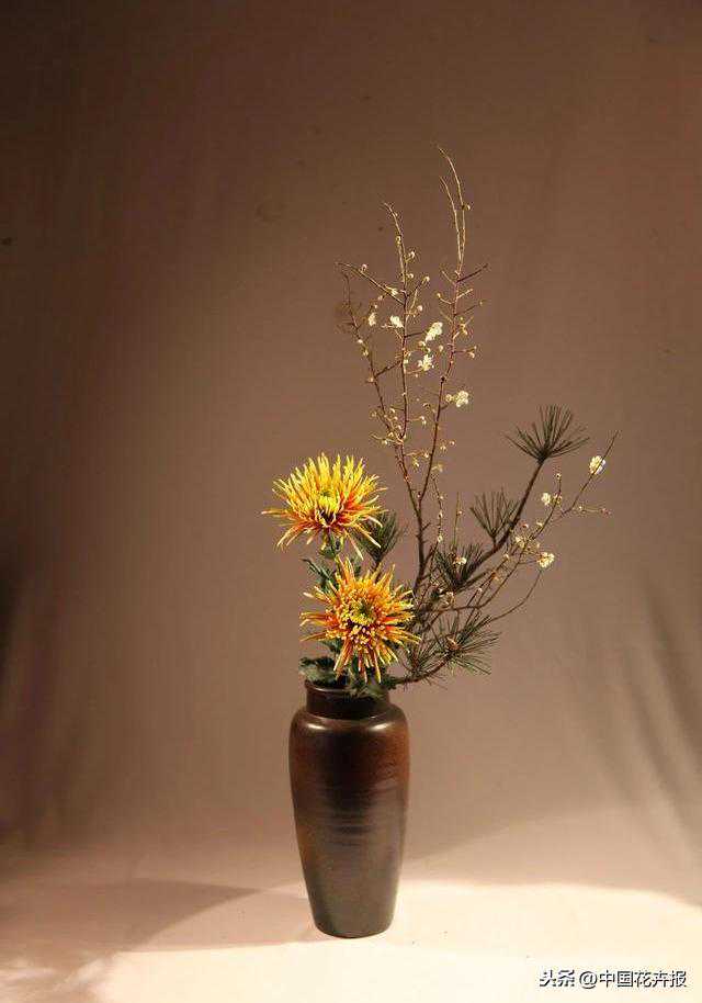 这些插花蕴含平安健康之意，送给当下的你