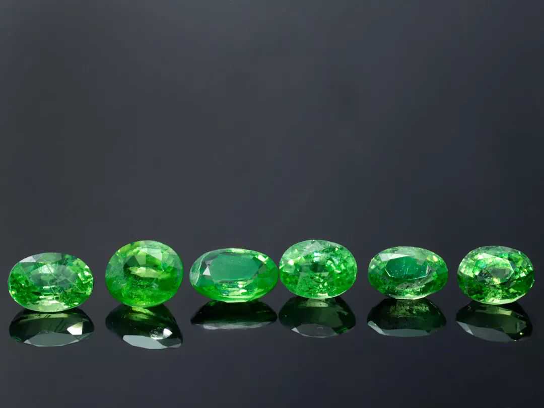 “随我来”见证“沙弗莱”的绿色奇迹