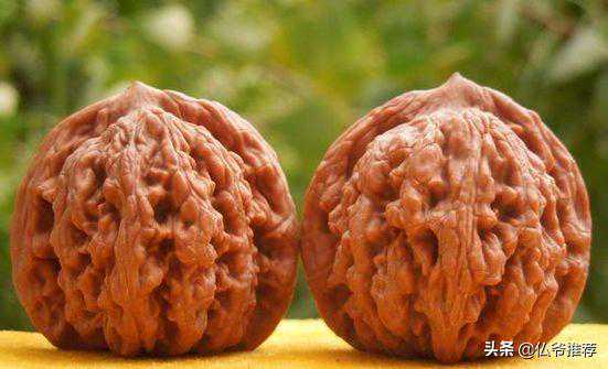 什么是麦穗虎头核桃？原来是它！