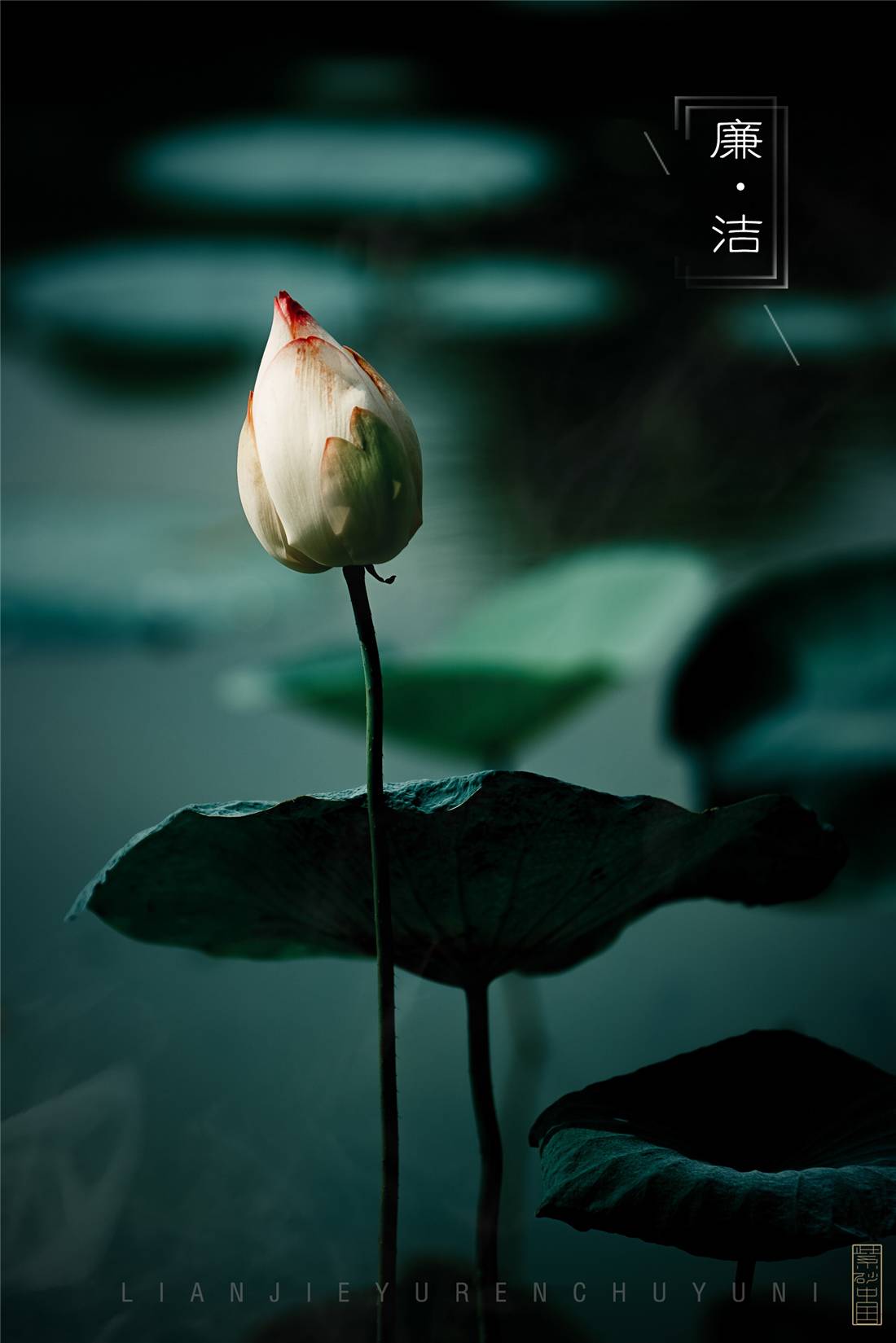 摶｜《一品清廉》范勤芳