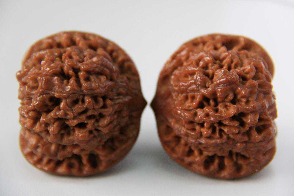 麒麟纹狮子头，厉害了！