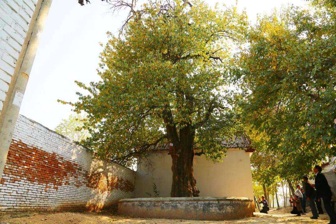 广东有哪些温泉酒店每间房都带独立泡池？帮你整理好了，收藏吧