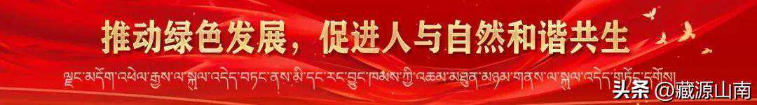 山南这座“多情”的边境小城，最适合来“躺平”！