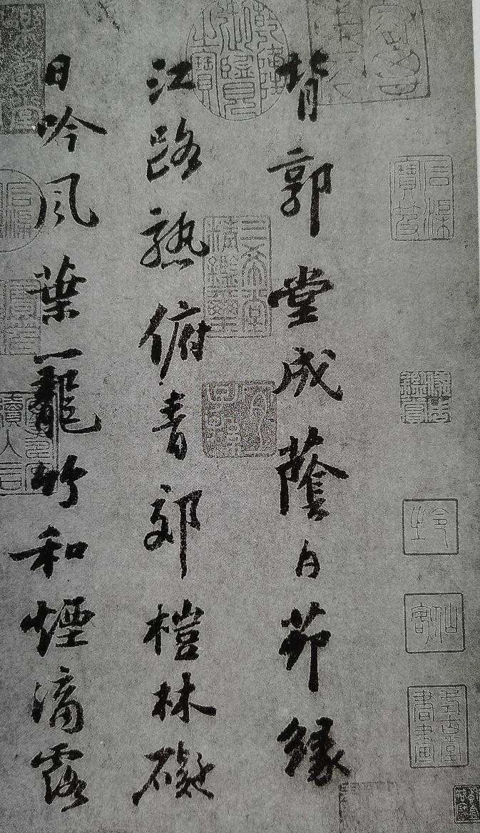 苏轼《杜甫桤木诗卷》赏析