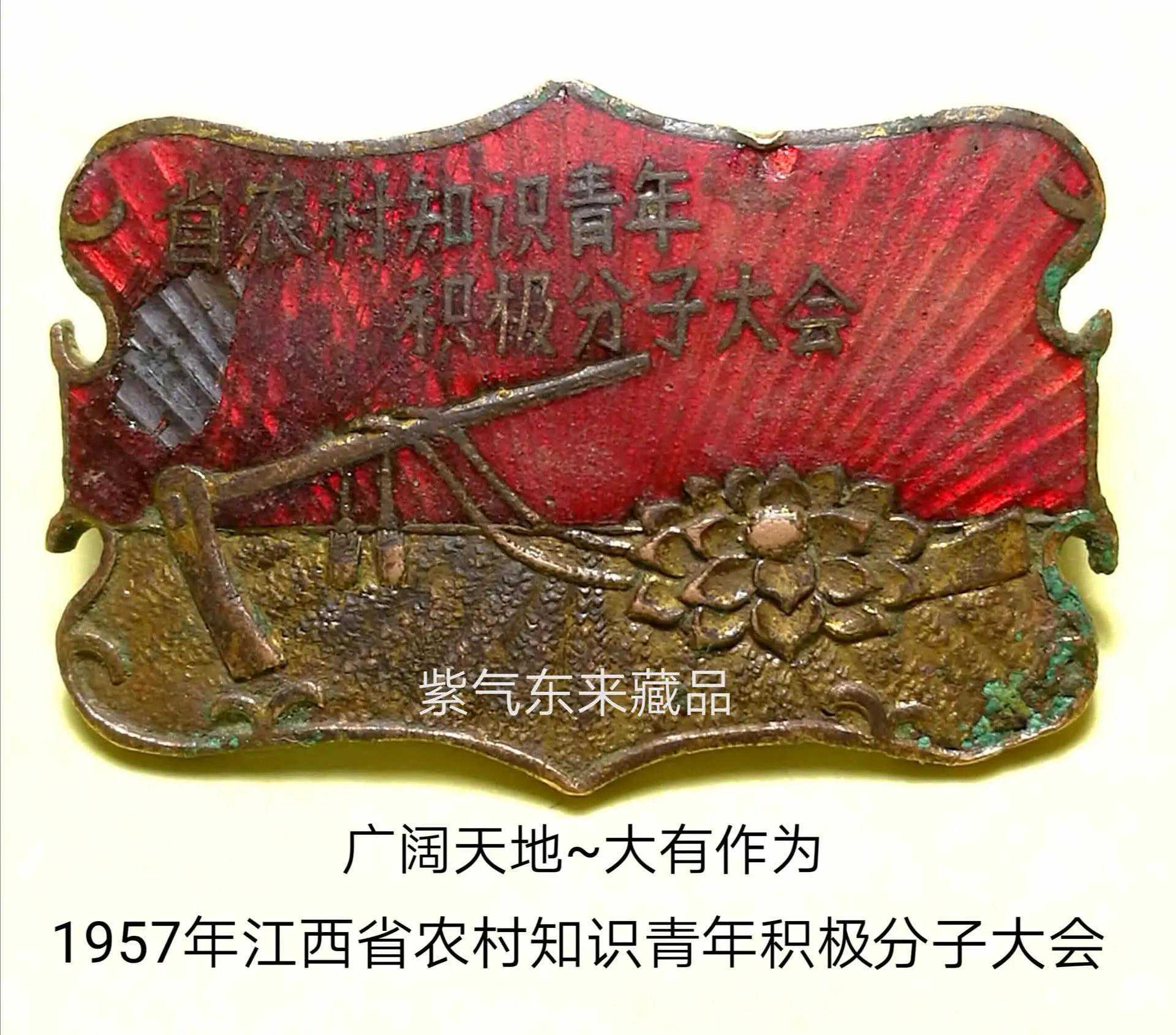 酷烈映芳华：今天摆一摆“知青”徽章龙门阵。