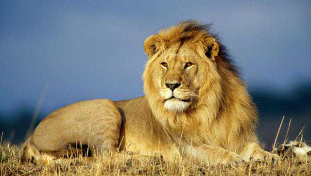 孔方兄贺岁 | 中国国家博物馆藏西王赏功钱（一）