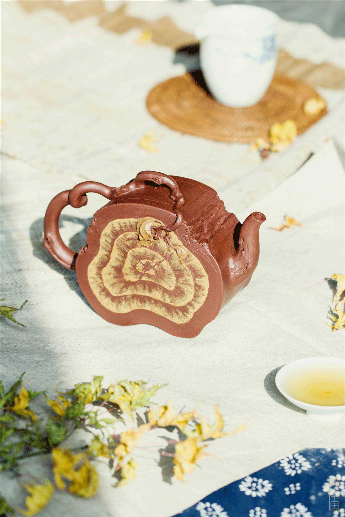 摶｜《一段秋色》夏欣炜