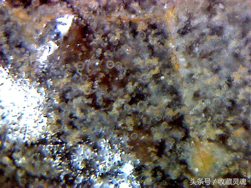 宋官窑六瓣花口盘