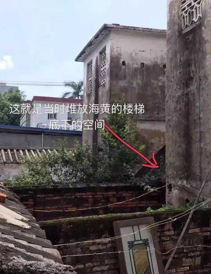 海黄，看了这个你会了解更多！