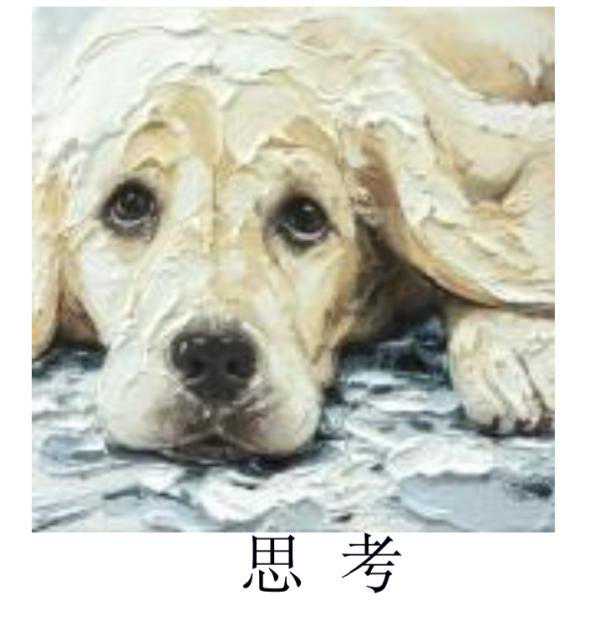 申树斌：生命之外，还有什么？