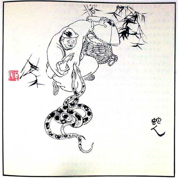 聊斋志异—翠青