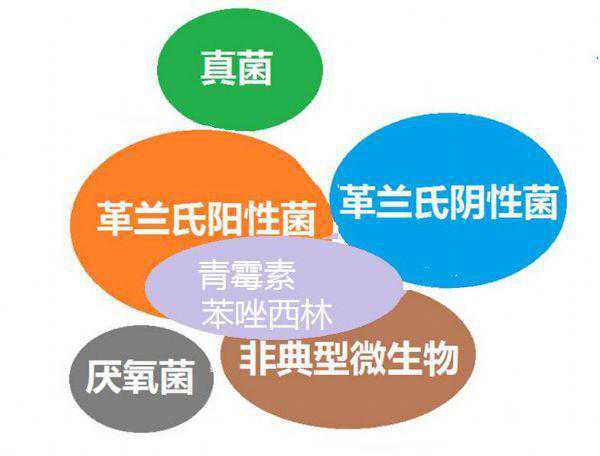 看图“话”抗菌谱，赶紧收藏