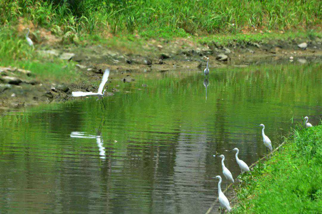 海民们，这份生活指南值得收藏