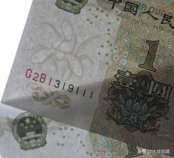 什么是991大叶兰，以及它的收藏价值