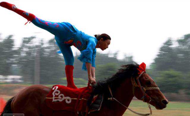 栾城举办首届“墨香古韵”收藏精品展