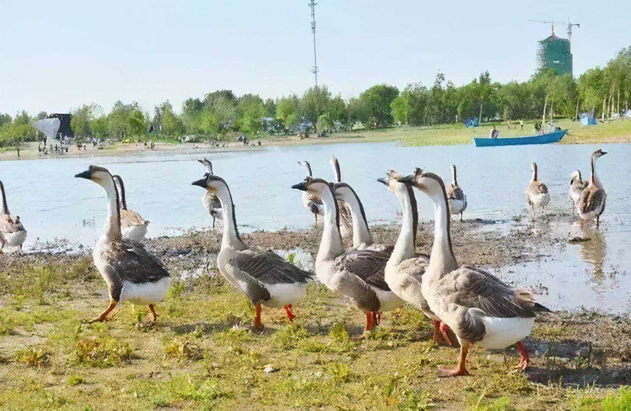 @长春人，假期绝不能错过的短途游！收藏起来