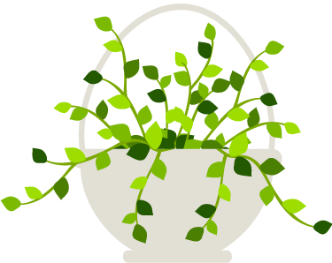 史上最全最给力的下奶素食和月子食谱，强烈建议收藏