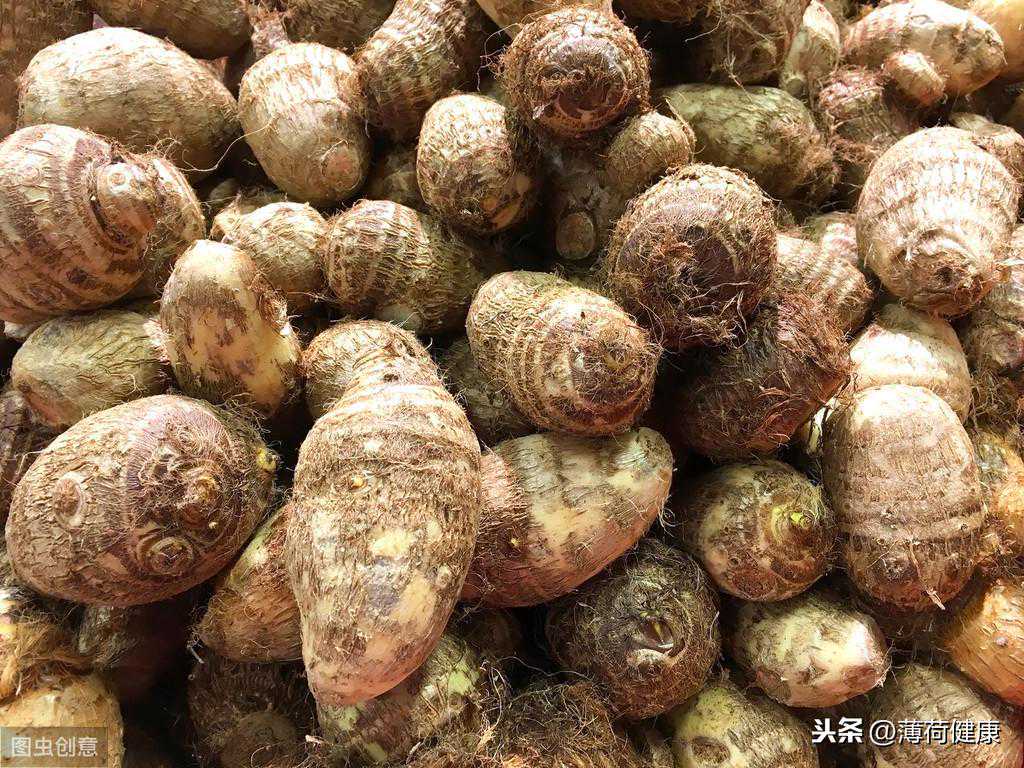 芋头扛饿又营养，代替米饭当主食，还能轻松瘦十斤！（减肥收藏）