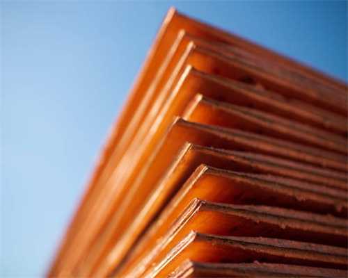 正确使用护理液洗护的方法，赶快收藏