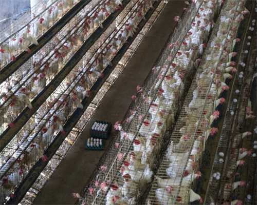 如何提升淘宝店铺的收藏加购