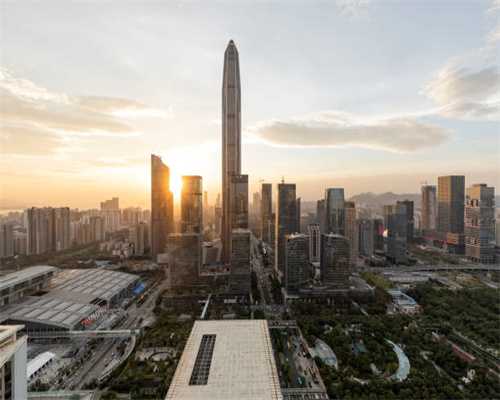 天马行空，自由挥洒——画家陈茂叶