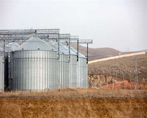 5种强身健体的药酒，建议收藏