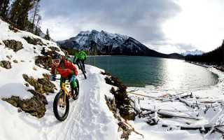 陈履生：书写人生百字