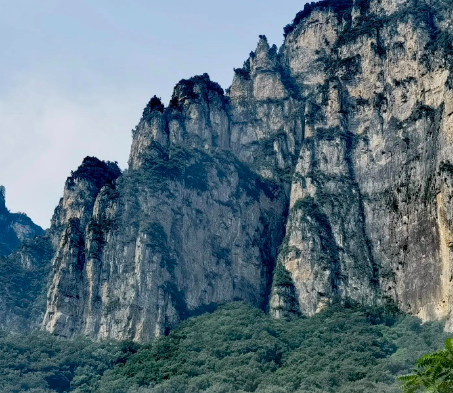 宜兴紫砂壶探秘：机制壶已经成营销主流，手工壶陷入生存困境