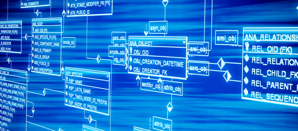 军人转业做罐头。