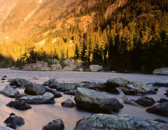 称购买的古董被鉴定为仿品 买家起诉收藏网要求退款